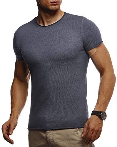 Leif Nelson T-Shirt Herren Sommer Rundhals-Ausschnitt Feinstrick (Grau, Größe L) Regular Fit Herren-T-Shirt Rundkragen, Basic Männer T-Shirt Kurzarm von Leif Nelson