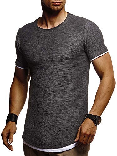 Leif Nelson T-Shirt Herren Sommer Rundhals-Ausschnitt (Grau, Größe L), Regular Fit Herren-T-Shirt 100% Baumwolle, Casual Basic Männer T-Shirt Kurzarm von Leif Nelson