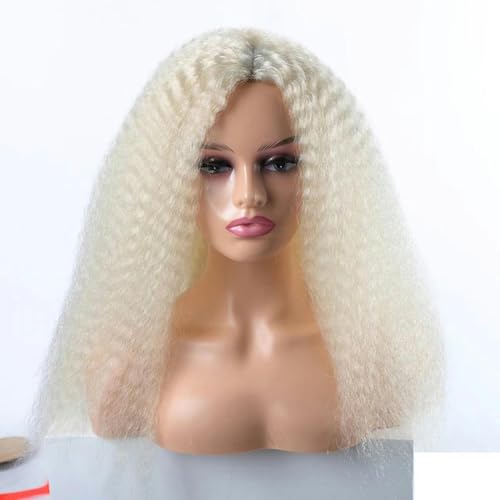 Lange verworrene lockige Kunsthaar-Perücken für schwarze Frauen, Schwarz, Braun, Blond, Ingwer, Rot, Weiß, Afro-Haar, verworrene Locken, Kunsthaar-Perücken, 613 cm, 21 Zoll, 1 Stück von LEPIZ