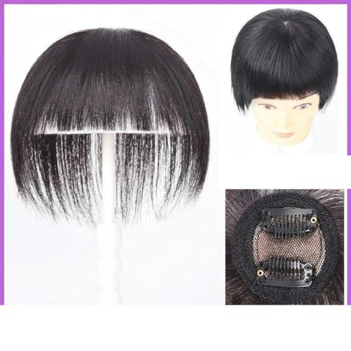 Synthetische Haaraufsätze für Damen, 9 x 12 cm, natürliches glattes Haar, Clip-in-Perücken für Damen, Haarteil mit Pony, T27/30/4 von LEPIZ