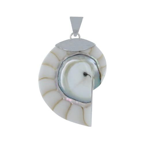LES POULETTES BIJOUX - Sterling Silber 925 Anhänger Nautilus Muschel und Harz - Weib von LES POULETTES BIJOUX