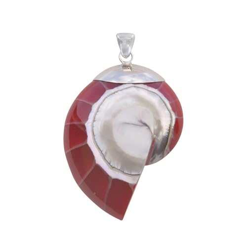 LES POULETTES BIJOUX - Sterling Silber 925 Anhänger Nautilus Muschel und Harz - Rote von LES POULETTES BIJOUX