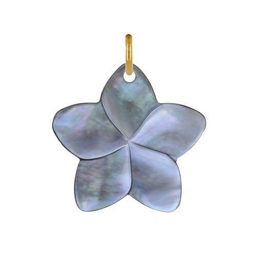 LES POULETTES BIJOUX - Vergoldeter Anhänger Perlmutt Frangipani Blüte - Grau LES POULETTES BIJOUX - Vergoldeter Anhänger Perlmutt Frangipani Blüte - Grau von LES POULETTES BIJOUX