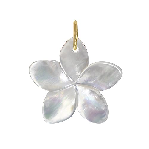 LES POULETTES BIJOUX - Vergoldeter Anhänger Perlmutt Frangipani Blüte - Weib LES POULETTES BIJOUX - Vergoldeter Anhänger Perlmutt Frangipani Blüte - Weib von LES POULETTES BIJOUX