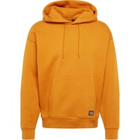 Sweatshirt 'Skate Hooded Sweatshirt' von LEVIS SKATEBOARDING