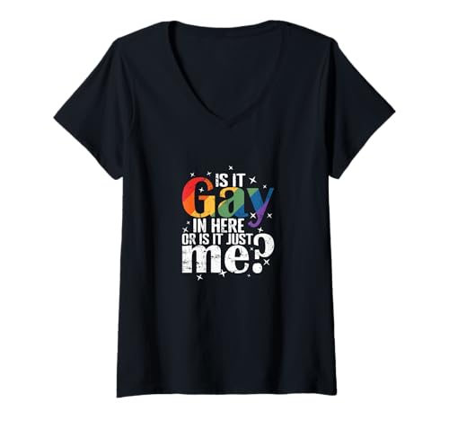 Damen Ist es Gay in Here, oder ist es nur ich? T-Shirt mit V-Ausschnitt von LGBTQ gay bisexual lesbian tolerance fringe group