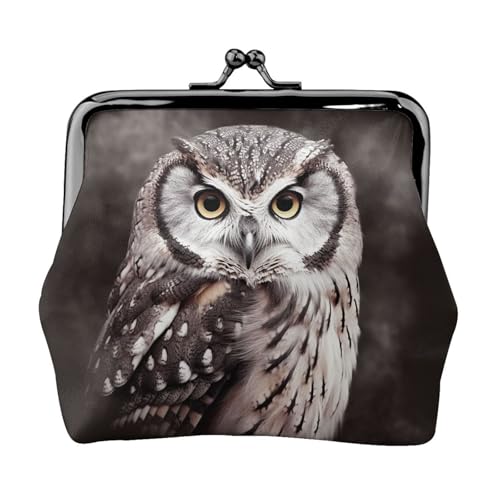 Kleine Geldbörse mit Eule für Frauen, Kiss-Lock-Geldbörse, Leder, niedliche Münzgeldbörse, Mini-Münztasche, Kleingeldbörse Schlüsselhalter von LHDGBNV