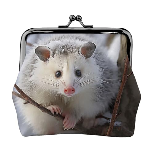 Opossum In Snow Kleine Münzbörse für Frauen, Kiss-Lock-Geldbörse, Leder, niedliche Münzgeldbörse, Mini-Münztasche, Kleingeldbörse, Schlüsselhalter von LHDGBNV