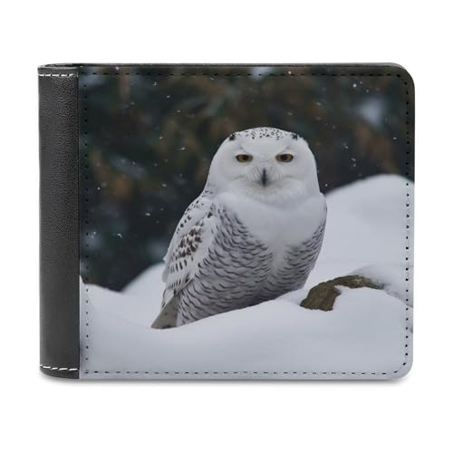 LHOKDR Tragbare Geldbörse mit Kartenhalter, Motiv: Schnee-Eule, bedruckt, multifunktional, einfache Reisebrieftasche, Unisex, schwarz, Einheitsgröße, modern, Schwarz , Einheitsgröße, Zeitgenössisch von LHOKDR