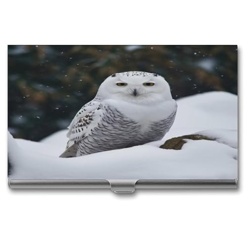 LHOKDR Visitenkartenhalter, Metalltasche, Halter für Damen und Herren, Kreditkartenetui mit Schnee-Eule-Druck, Kartenetui für Visitenkarten, Schneeeule, Einheitsgröße LHOKDR Visitenkartenhalter, Metalltasche, Halter für Damen und Herren, Kreditkartenetui mit Schnee-Eule-Druck, Kartenetui für Visitenkarten, Schneeeule, Einheitsgröße von LHOKDR