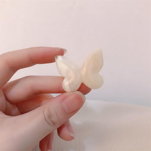 LIBERGA 10 Stück Schmetterling Haarspangen Elegante Haarklammern Kopfschmuck Ästhetische Dekoration Haarnadeln Für Damen von LIBERGA