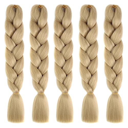 LICHENGTAI 5 Stück Braids Extensions Jumbo Braid Haarverlängerung Kunsthaar Haar Flechten Extensions Hair Jumbo Flechten Hair Extensions DIY Frisur für Frauen Mädchen Kinder von LICHENGTAI