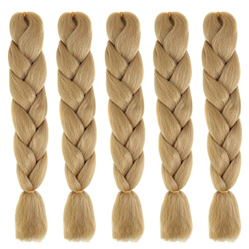 LICHENGTAI 5 Stück Braids Extensions Jumbo Braid Haarverlängerung Kunsthaar Haar Flechten Extensions Hair Jumbo Flechten Hair Extensions DIY Frisur für Frauen Mädchen Kinder von LICHENGTAI