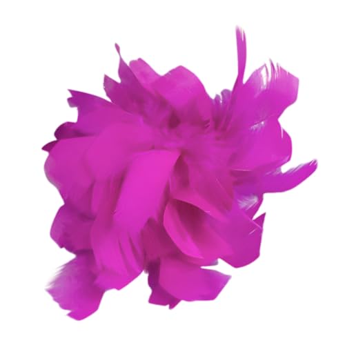 LICHENGTAI Vintage Feder Brosche, Flauschige Feder Ansteckbrosche Modisches Brustkorsagen Accessoire Vintage Dekoration Federbrosche für Party Dekoration Kopfbedeckung von LICHENGTAI