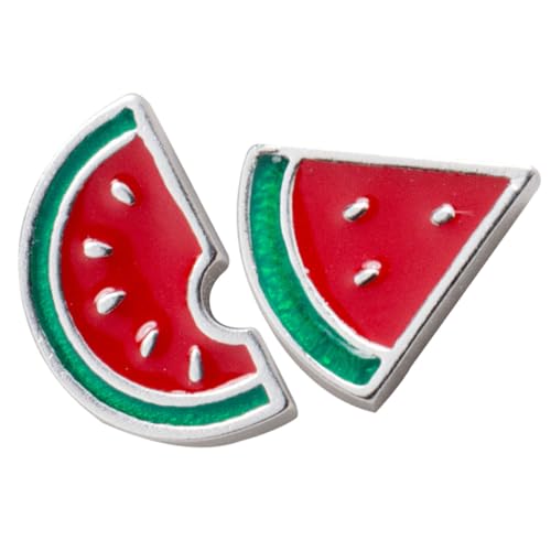 LIFKOME 1 Paar Süße Wassermelonen-Ohrstecker Strandschmuck für Damen Damenschmuck Strandohrringe für Frauen modische Ohrringe für Sommerfrucht-Ohrstecker kleine Ohrringe für Frauen Silber- von LIFKOME