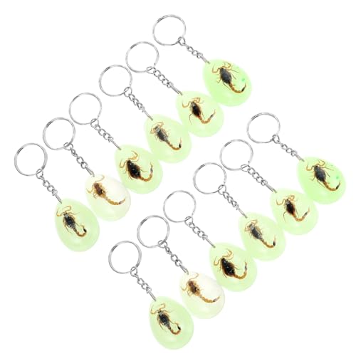 LIFKOME 12 Stück Bernstein Schlüsselanhänger Kind Kind Präsentiert Insektenproben Schlüsselanhänger Schlüsselanhänger Probenanhänger Taschenanhänger von LIFKOME