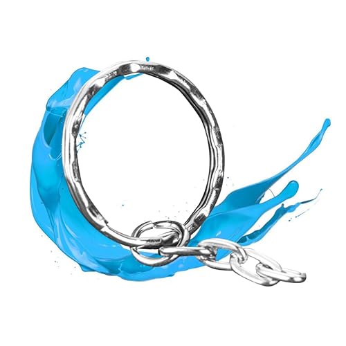 LIFKOME Kette Schlüsselanhänger Mit Vier Flachen Ketten Aus Starkem Edelstahlmaterial Schlüsselanhängerringe Zum Tragen Und Organisieren von LIFKOME