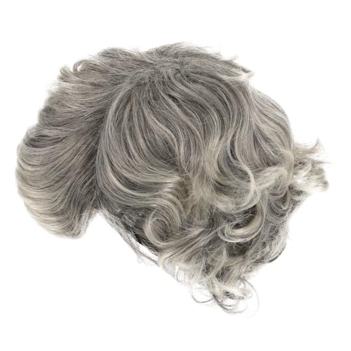 LIFKOME Graue Kurze Lockige Perücke aus Seide Bequeme Damenperücke für Halloween Weihnachten Karneval Cosplay Wiederverwendbares Kostümzubehör für Bühnenauftritte von LIFKOME