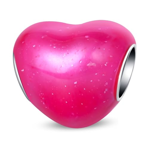 LIGHTDOG 925 Sterling Silber Charms für Armbänder, kompatibel mit europäischen Armbändern und passt zu Pandora Charms Armbänder für Frauen Mädchen von LIGHTDOG