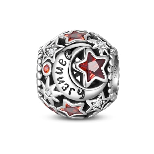 LIGHTDOG Birthstone Charms für Pandora Charms 5A Cubic Zirkonia Anhänger für europäische Armbänder Perlen 925 Sterling Silber Charms Weihnachten Geburtstag Geschenke für Frauen von LIGHTDOG