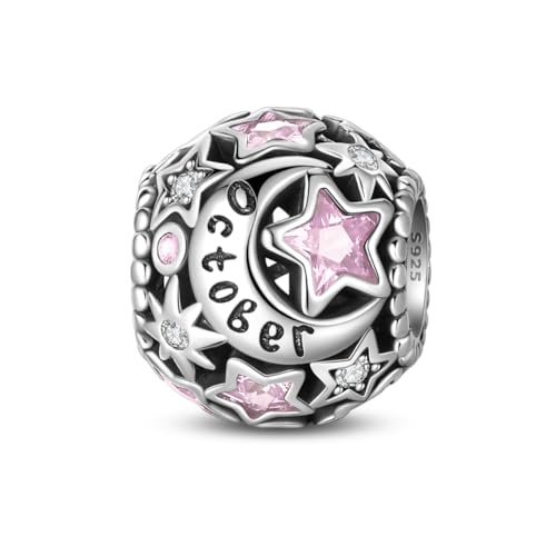 LIGHTDOG Birthstone Charms für Pandora Charms 5A Cubic Zirkonia Anhänger für europäische Armbänder Perlen 925 Sterling Silber Charms Weihnachten Geburtstag Geschenke für Frauen von LIGHTDOG