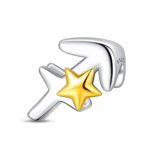 LIGHTDOG Damen 925 Silber Charms für Armbänder 12 Sternzeichen Anhänger Geeignet für Europäische Armbänder & Pandora Armbänder Halsketten Kompatibel Geburtstag Vergoldete Charms von LIGHTDOG