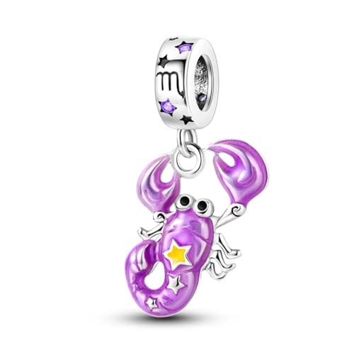 LIGHTDOG Damen 925 Silber Charms für Armbänder 12 Sternzeichen Anhänger Geeignet für Europäische Armbänder & Pandora Armbänder Halsketten Kompatibel Geburtstag Vergoldete Charms von LIGHTDOG