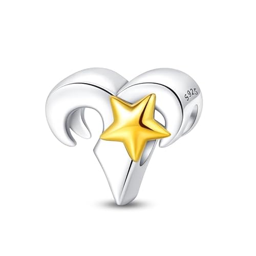 LIGHTDOG Damen 925 Silber Charms für Armbänder 12 Sternzeichen Anhänger Geeignet für Europäische Armbänder & Pandora Armbänder Halsketten Kompatibel Geburtstag Vergoldete Charms von LIGHTDOG