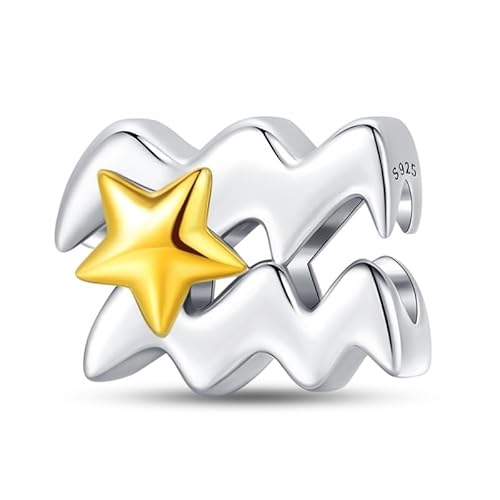 LIGHTDOG Damen 925 Silber Charms für Armbänder 12 Sternzeichen Anhänger Geeignet für Europäische Armbänder & Pandora Armbänder Halsketten Kompatibel Geburtstag Vergoldete Charms von LIGHTDOG