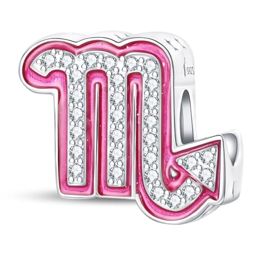 LIGHTDOG Damen 925 Silber Charms für Armbänder 12 Sternzeichen Anhänger Geeignet für Europäische Armbänder & Pandora Armbänder Halsketten Kompatibel Geburtstag Vergoldete Charms von LIGHTDOG