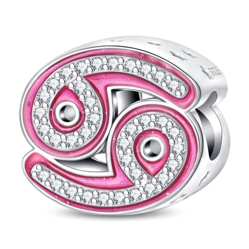 LIGHTDOG Damen 925 Silber Charms für Armbänder 12 Sternzeichen Anhänger Geeignet für Europäische Armbänder & Pandora Armbänder Halsketten Kompatibel Geburtstag Vergoldete Charms von LIGHTDOG