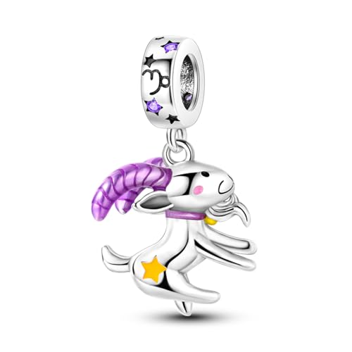 LIGHTDOG Damen 925 Silber Charms für Armbänder 12 Sternzeichen Anhänger Geeignet für Europäische Armbänder & Pandora Armbänder Halsketten Kompatibel Geburtstag Vergoldete Charms von LIGHTDOG