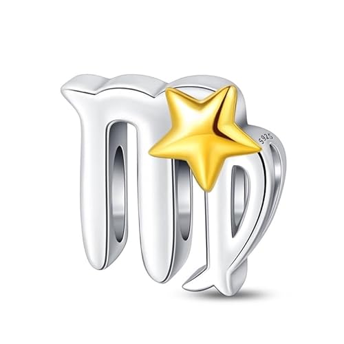 LIGHTDOG Damen 925 Silber Charms für Armbänder 12 Sternzeichen Anhänger Geeignet für Europäische Armbänder & Pandora Armbänder Halsketten Kompatibel Geburtstag Vergoldete Charms von LIGHTDOG