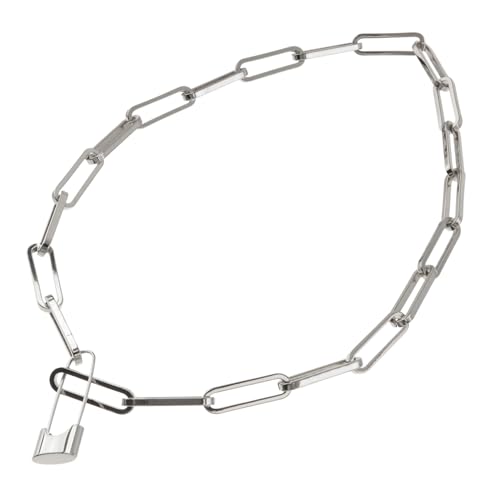 LIGIGWASH 1 Stück Vintage Damen Halskette mit Goldfarbenem Schloss Anhänger Clavicle Kette im Retro Stil Perfektes Schmuckstück für Besondere Anlässe und von LIGIGWASH