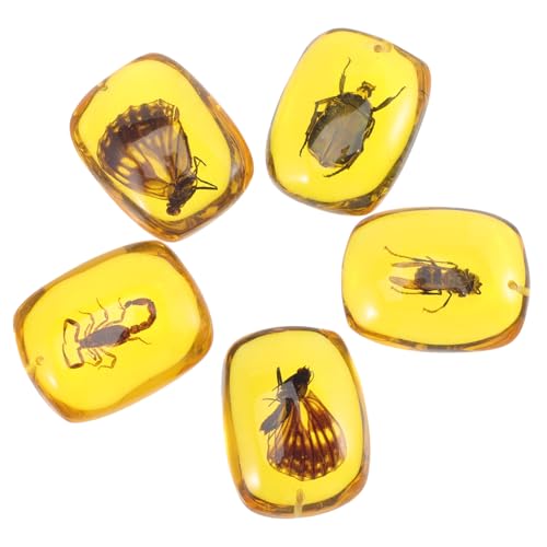 LIGIGWASH 5 Stück Teiliges Bernstein Anhänger mit Natürlichen Insektenexemplaren Hochwertiges Kunstharz Leicht und Stabil DIY Schmuckanhänger für Kreative Hängedekoration und Individuelle von LIGIGWASH