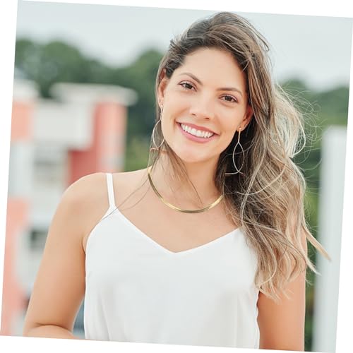 LIGIGWASH Goldene Snake Bone Halskette Minimalistische Damen Clavicle Chain Flache Schlangenknochen Modisches für Frauen Lange Rippchenkette von LIGIGWASH