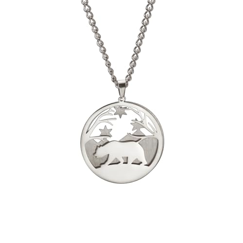 LIKGREAT Eisbär Halskette für Männer Frauen Doppelschichtige Edelstahl Anhänger Winter Sternennacht Bär Zurück zu Hause Schmuck (Silber) von LIKGREAT
