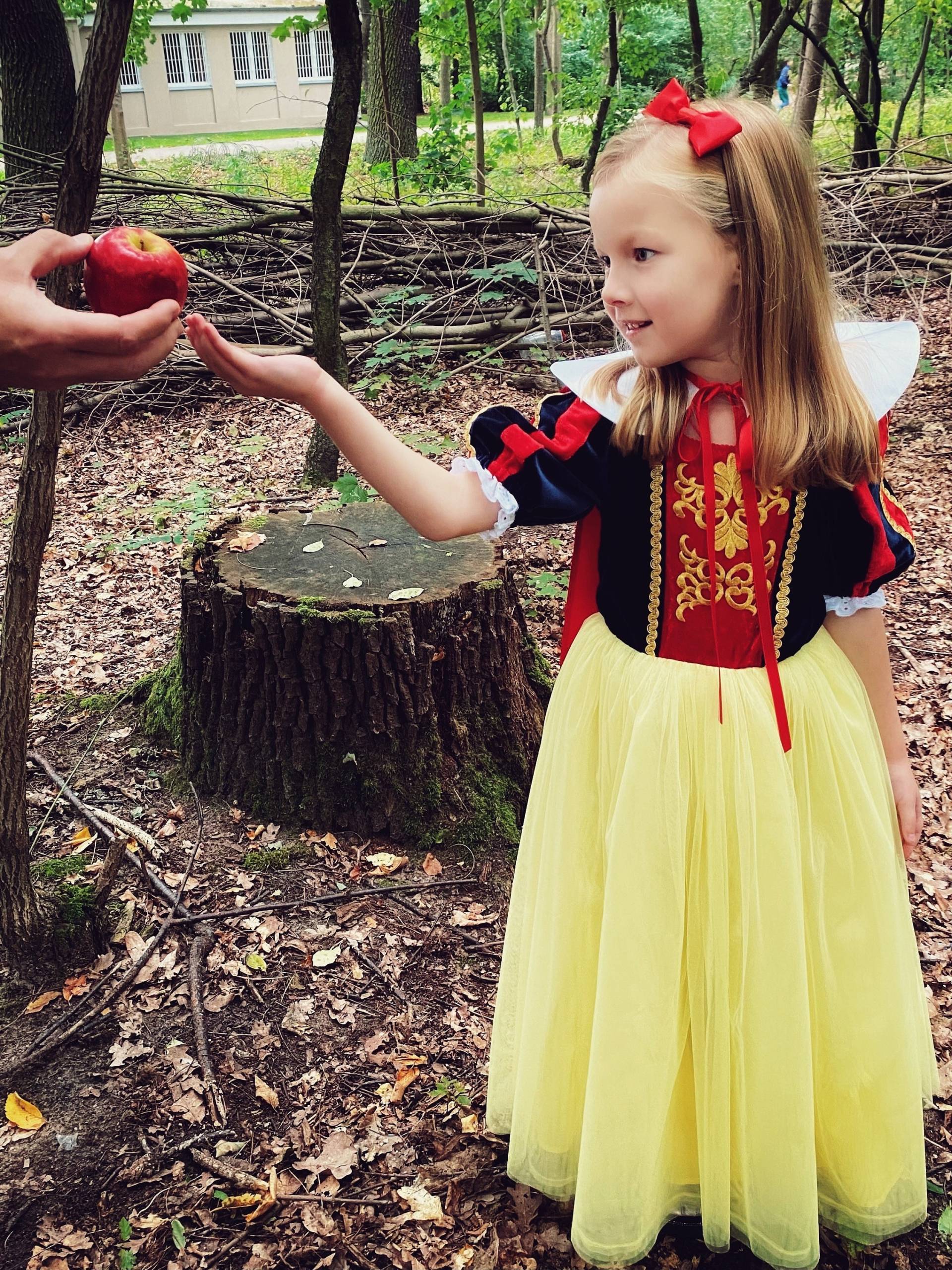 Handgemachtes Schneewittchen Inspiriertes Kleid, Samt Und Satin, Geburtstags-Party-Kostüm von LILUkidsBERLIN