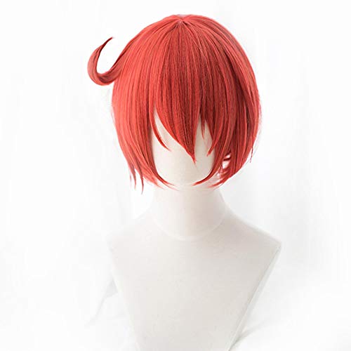Cells at Work Cosplay Wig Erythrocyte Red Blood Cell Neutrophil Platelet Synthetic Hataraku Saibou Cosplay Wigs +wig cap von LINGCOS