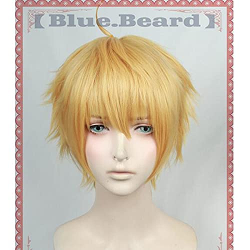 Fate/Stay Night Grand Order Fate/Prototype Saber Golden Short Wig Cosplay Halloween Role Play Hair + Wig Cap von LINGCOS