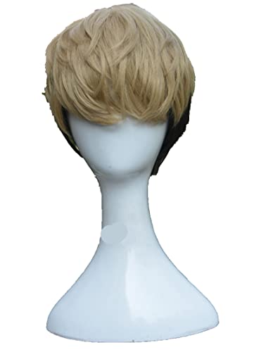Killing Stalking Wigs SangWoo Wig Sanwoo Short Linen Brown Black Ombre Heat Resistant Synthetic Hair Cosplay Wig + Wig Cap von LINGCOS