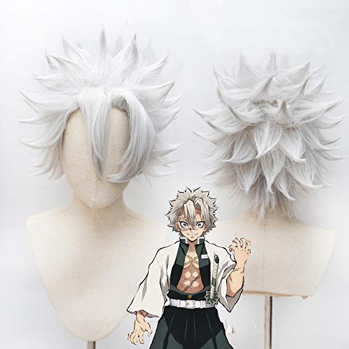 Kimetsu no Yaiba Shinazugawa Sanemi Cosplay Wig Blade of Halloween Anime Short Gray Silver Hair + Wig Cap von LINGCOS