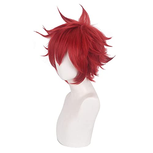 Role Play Wig For Anime SK8 the Infinity Wig Short Red Hair Cosplay Wig von LINGCOS