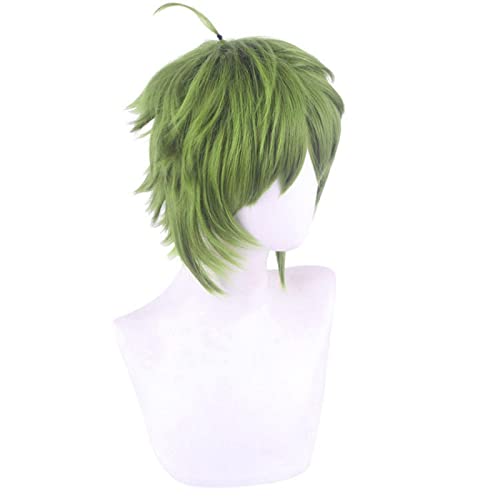 Role Play Wig For Sylphiette Greyrat Cosplay Wig Mushoku Tensei Green Cosplay Hair Halloween von LINGCOS