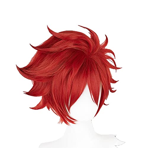 SK8 The Infinity Reki Kyan Cosplay Wig Red Short Men Wigs with Bangs Heat Resistant Synthetic Hair + Wig Cap von LINGCOS