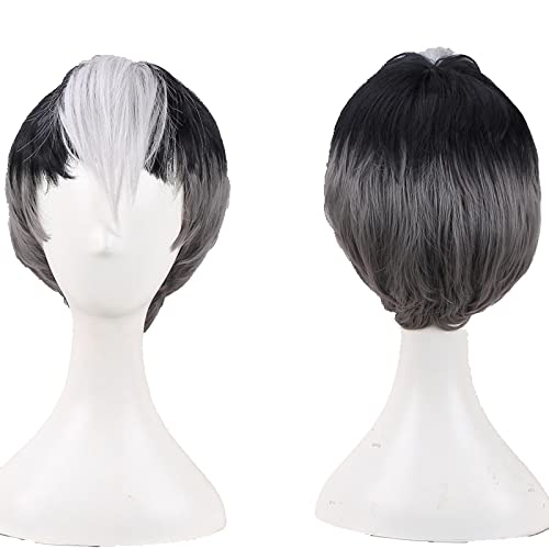 Voltron: Legendary Defender Shiro Wig Voltron Legendary Defender Anime Cosplay Hair Props Men s+Wig Cap von LINGCOS