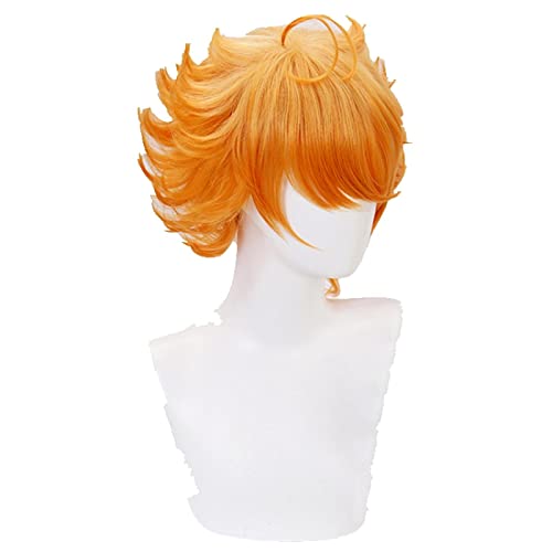 Yakusoku no Neverland 63194 Emma Cosplay Wigs 30cm Short Heat Resistant Synthetic Hair Perucas Cosplay Wig + Wig Cap von LINGCOS