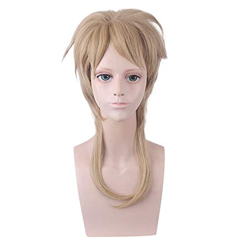 LINLINCD-Anime Coer Wig. Anime.JoJo. Bizarres Abenteuer DIO Brando Perücke Cosplay Kostüm Hitzebeständige Synthetische Haarparty Rollenspiele Spiele von LINLINCD