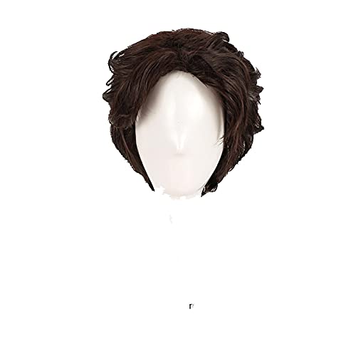 LINLINCD Anime Cosplay Perücke Tangled Rapunzel Flynn Rider Herren Cosplay Perücken Kurze dunkelbraune lockige hitzebeständige synthetische Haare Perücke+Perücke Kappe LINLINCD Anime Cosplay Perücke Tangled Rapunzel Flynn Rider Herren Cosplay Perücken Kurze dunkelbraune lockige hitzebeständige synthetische Haare Perücke+Perücke Kappe von LINLINCD