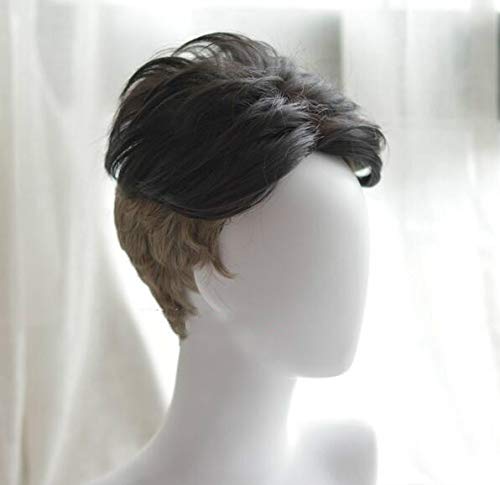 LINLINCD Cosplay wig 30cm Herren Short Black Grey Mix Synthetische Perücke YURI !!! auf ICE Otabek ALTIN Cosplay Perücke+Perückenkappe Schwarz LINLINCD Cosplay wig 30cm Herren Short Black Grey Mix Synthetische Perücke YURI !!! auf ICE Otabek ALTIN Cosplay Perücke+Perückenkappe Schwarz von LINLINCD